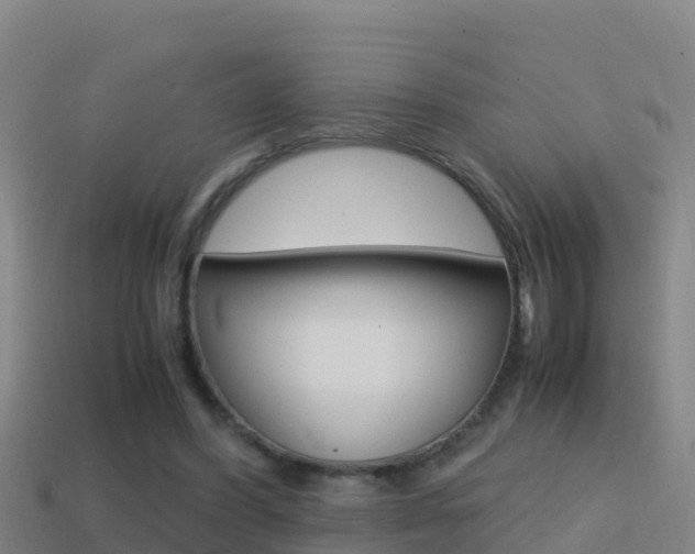 X0000114620396200910201006