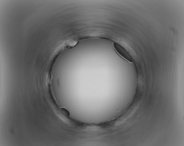 X0000114620397200910201006