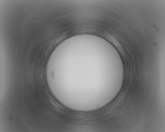 X0000114620401200910201006