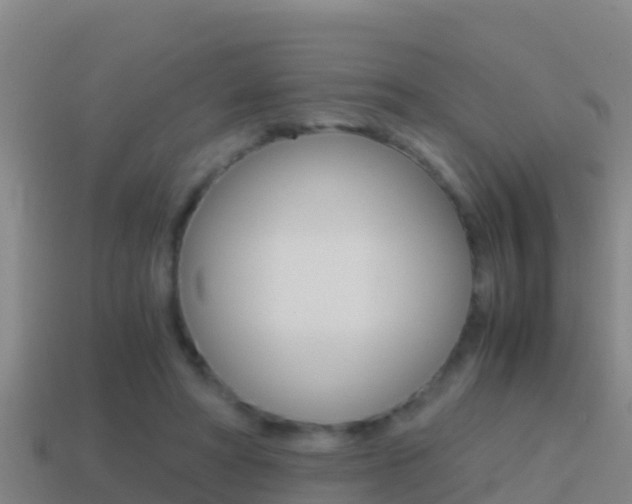 X0000114620402200910201006