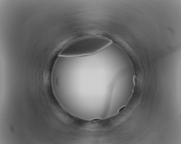 X0000114620403200910201006