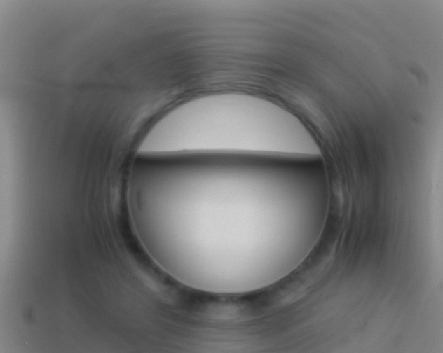 X0000114620404200910201006