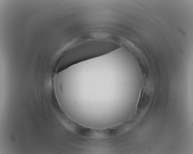 X0000114620405200910201006