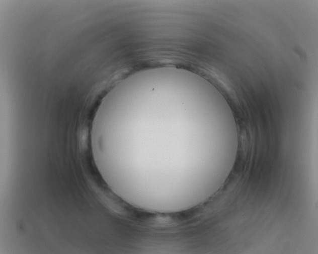 X0000114620406200910201006