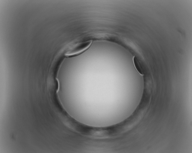 X0000114620407200910201006