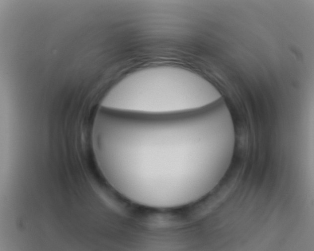 X0000114620408200910201006