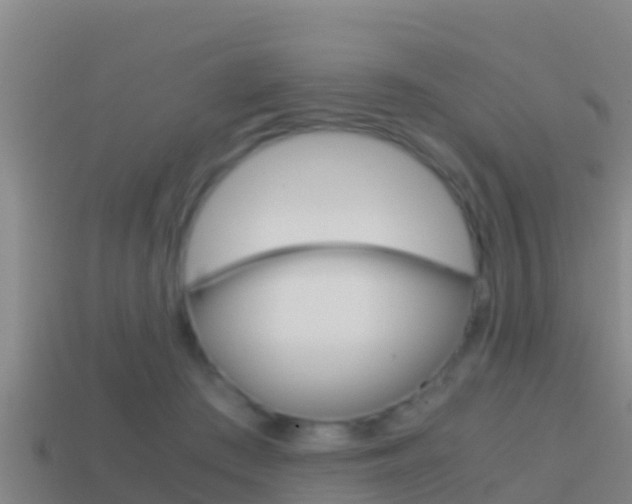 X0000114620409200910201006