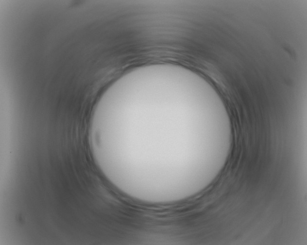 X0000114620411200910201006