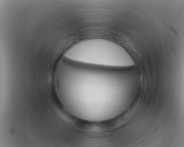 X0000114620412200910201005