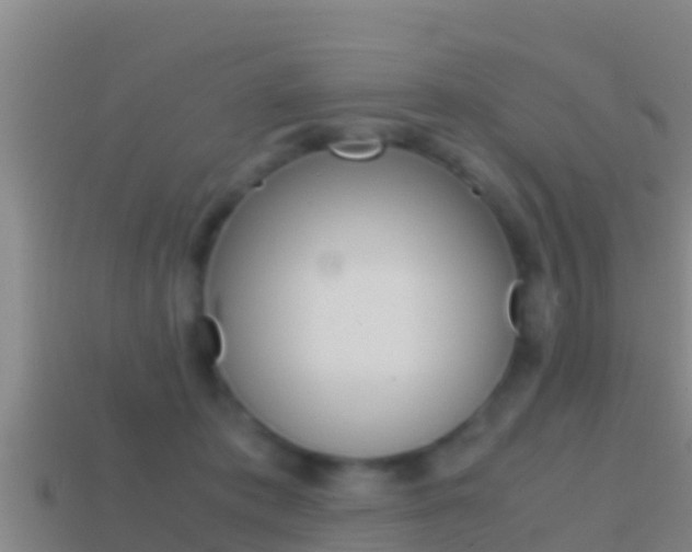 X0000114620413200910201005