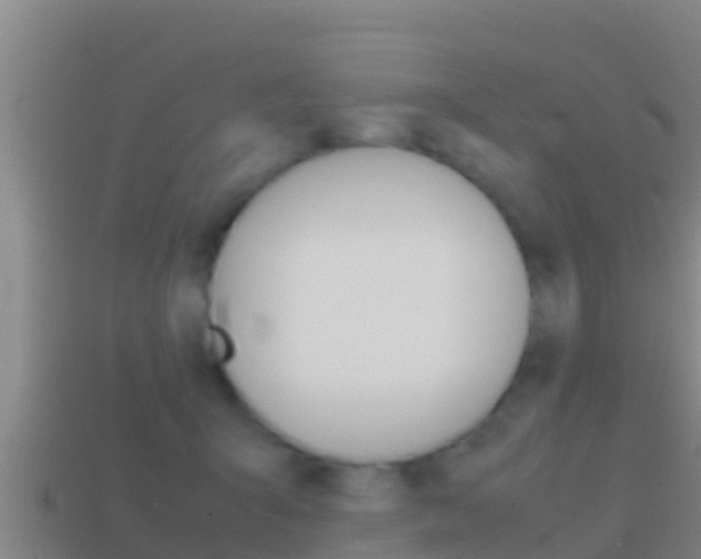 X0000114620415200910201005