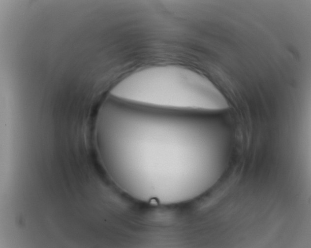 X0000114620416200910201005