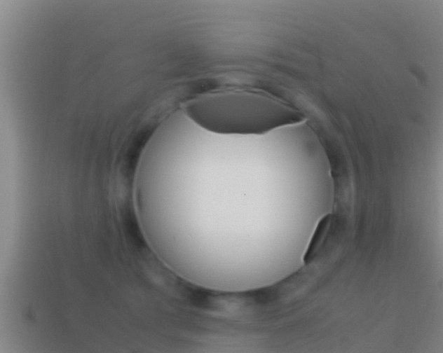 X0000114620417200910201005