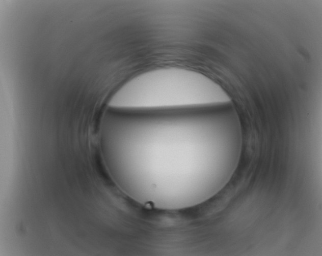 X0000114620420200910201005