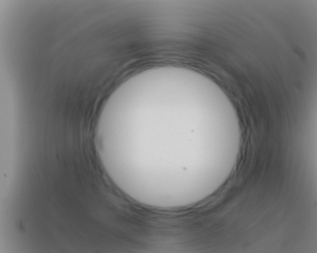 X0000114620421200910201005