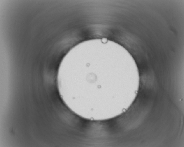 X0000114620423200910201005