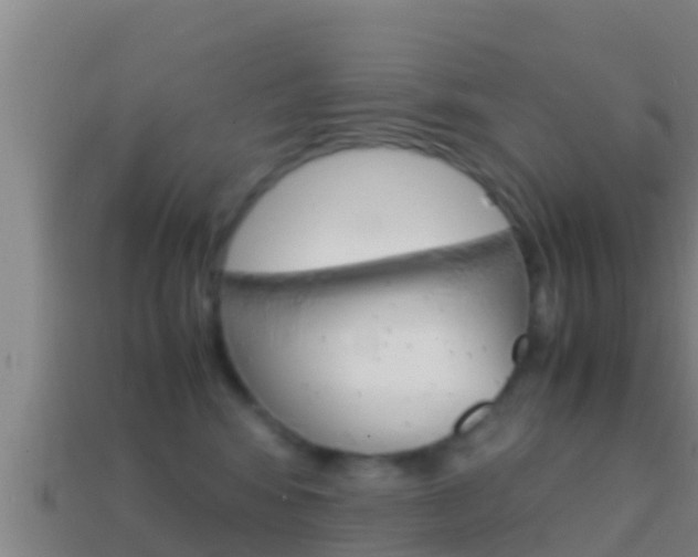 X0000114620424200910201005