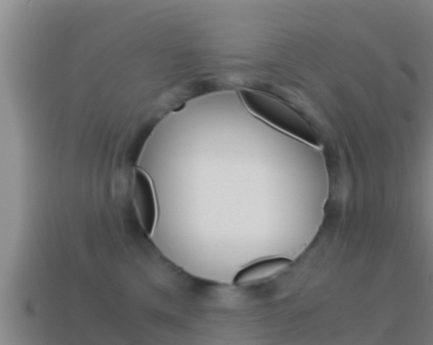 X0000114620425200910201005