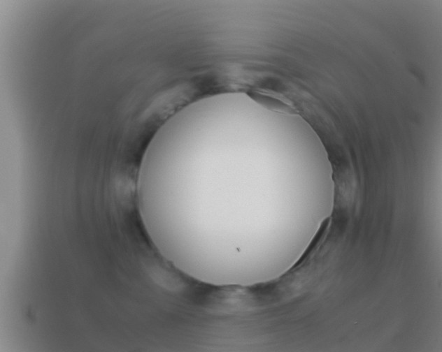 X0000114620427200910201005