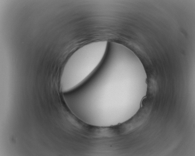 X0000114620428200910201005