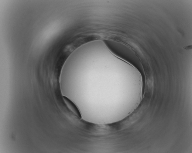X0000114620429200910201005