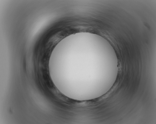 X0000114620430200910201005
