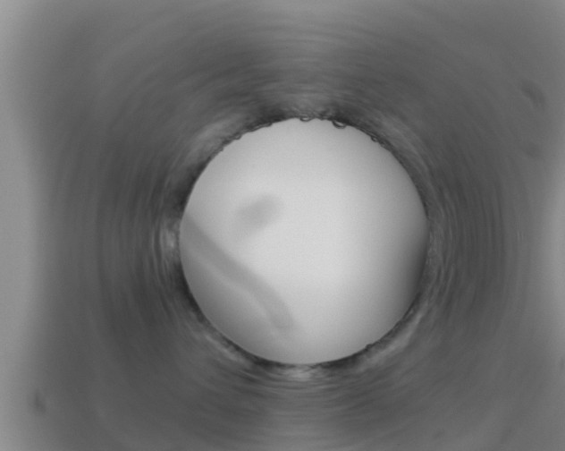 X0000114620432200910201005