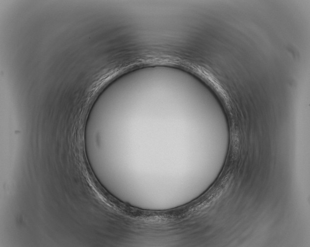 X0000114620433200910201004