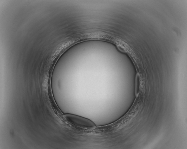 X0000114620434200910201004