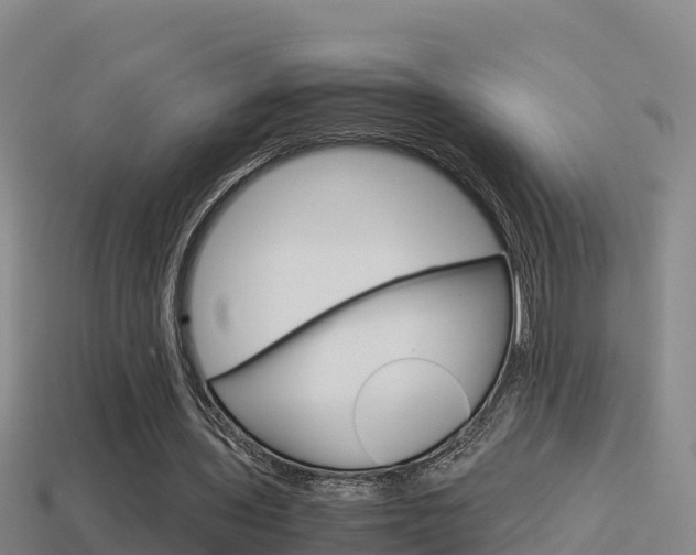 X0000114620435200910201004
