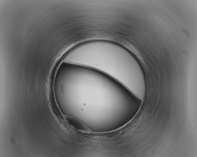 X0000114620436200910201005