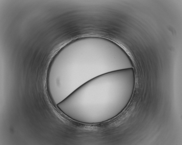 X0000114620437200910201005