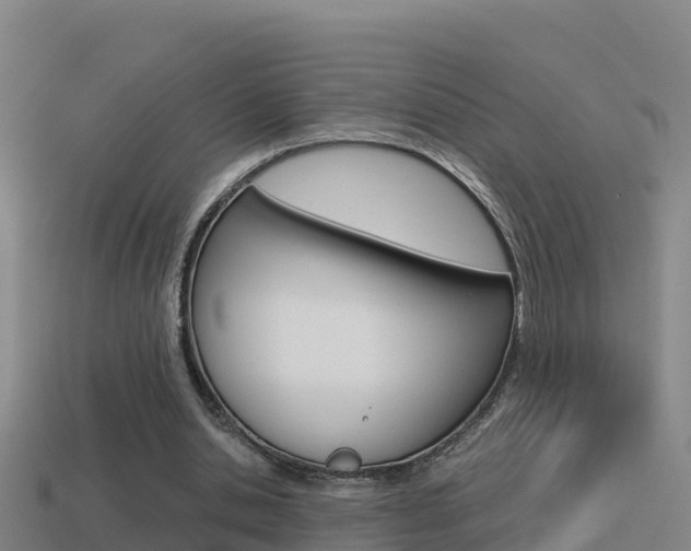 X0000114620438200910201005