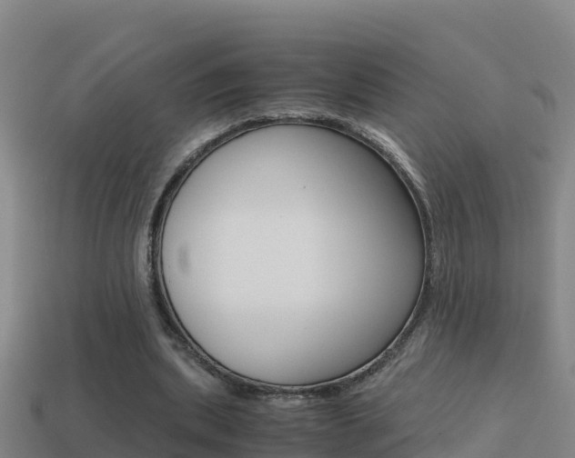 X0000114620439200910201005