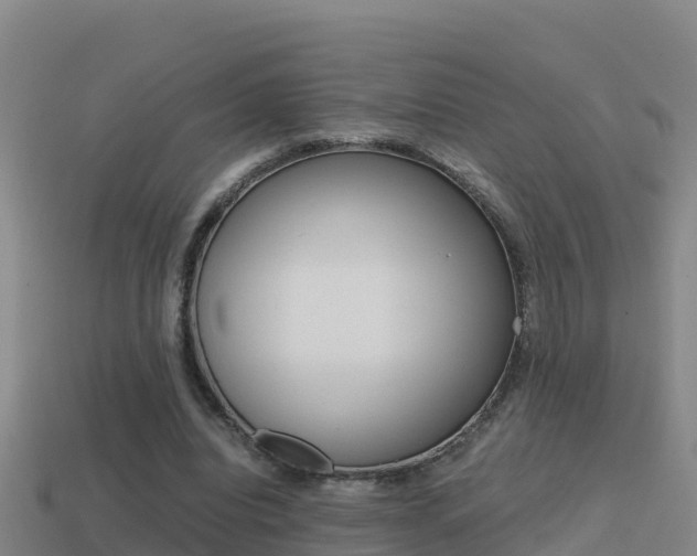 X0000114620440200910201005