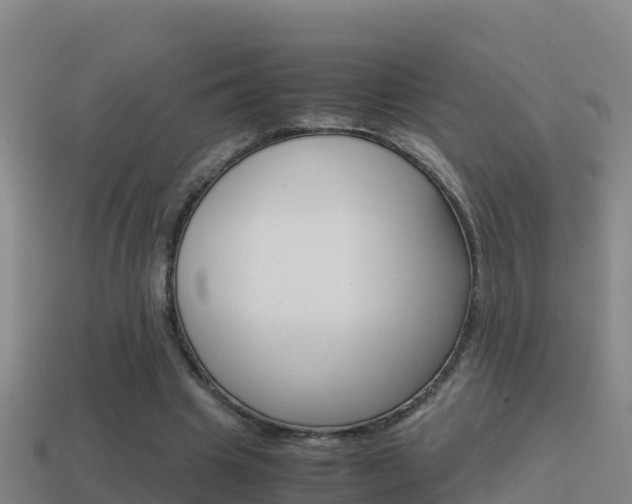 X0000114620441200910201005
