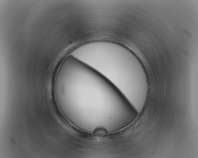 X0000114620442200910201005