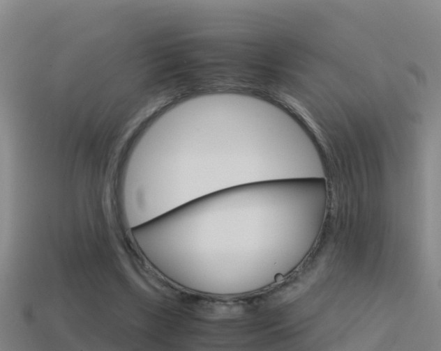 X0000114620443200910201005
