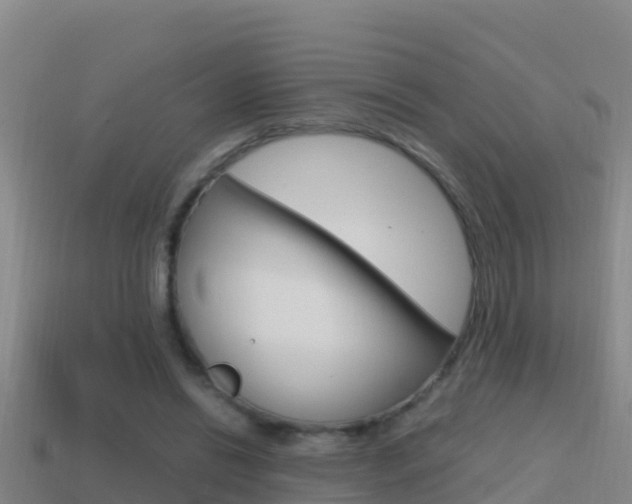 X0000114620446200910201005