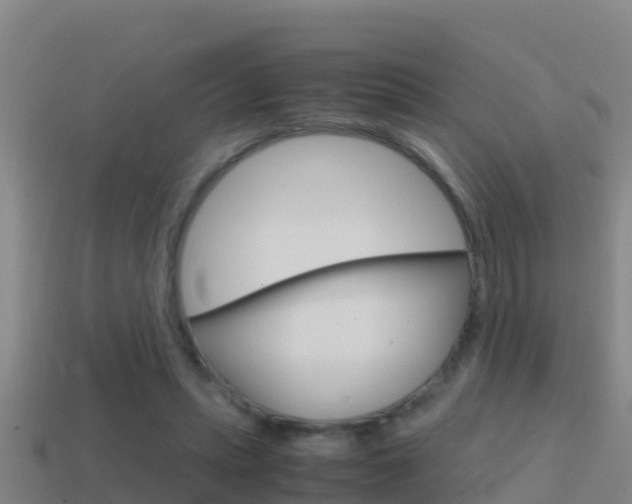 X0000114620447200910201005