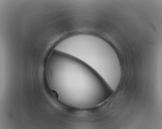 X0000114620448200910201005