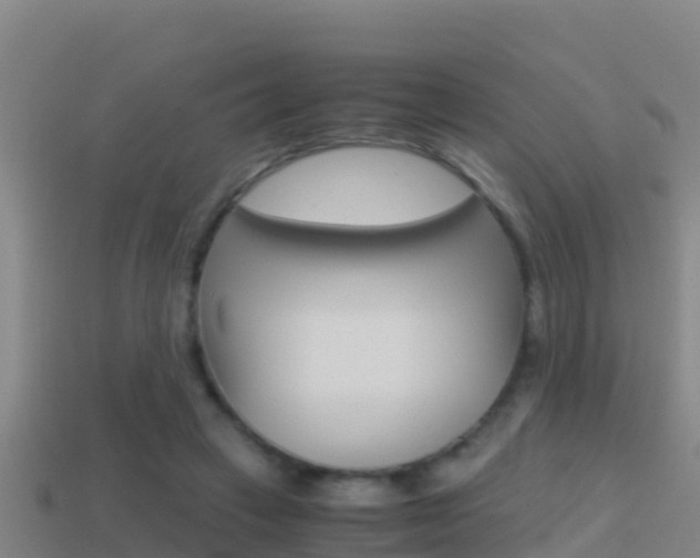 X0000114620449200910201005