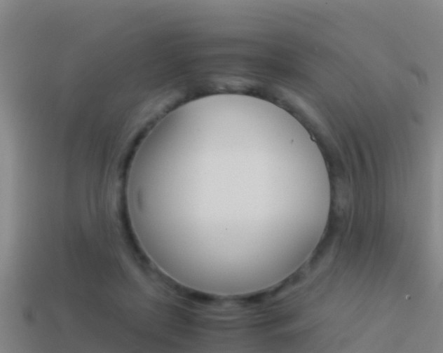 X0000114620451200910201005
