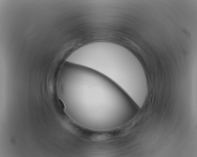 X0000114620452200910201005