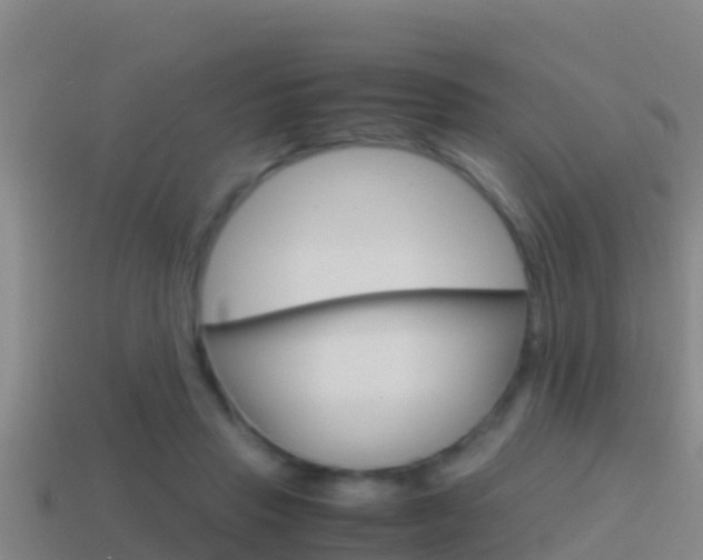 X0000114620453200910201005
