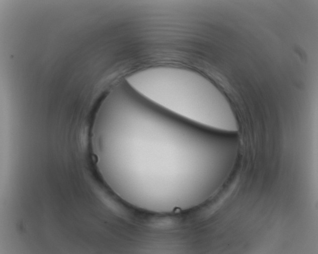 X0000114620454200910201005