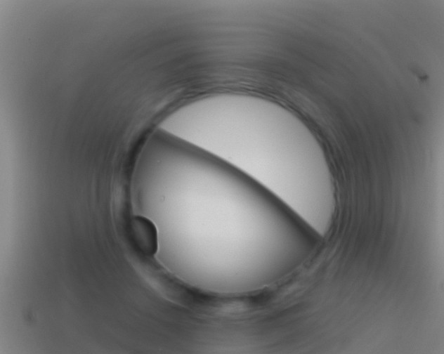 X0000114620456200910201005