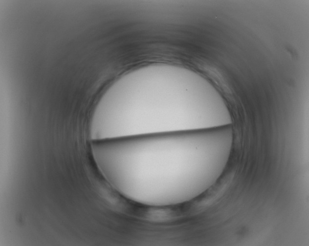 X0000114620457200910201005