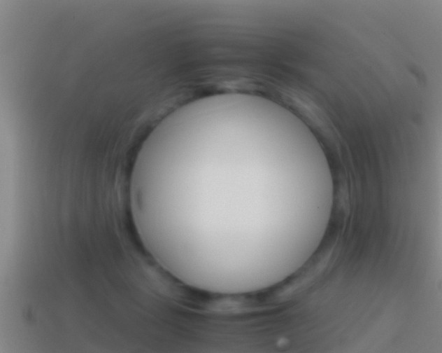 X0000114620461200910201005