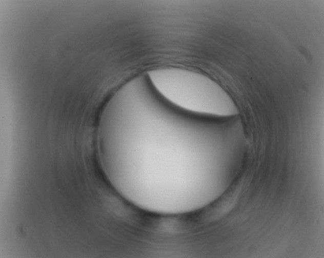 X0000114620462200910201005